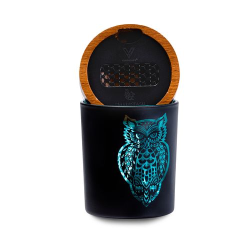 V Syndicate-SmartStash-Small-Owllusion-Turquoise