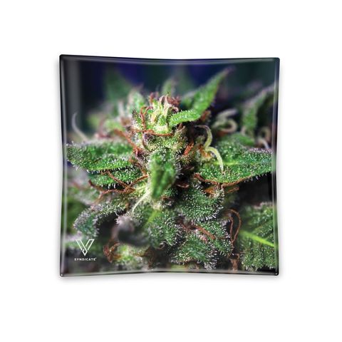 V Syndicate-Glass Ashtray-Blue Dream