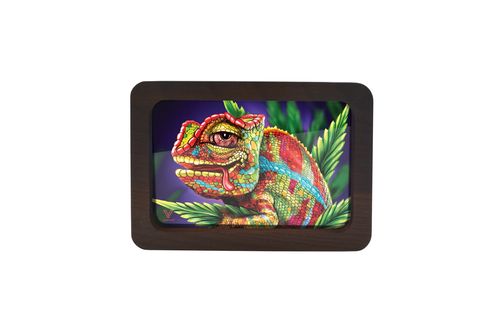 V Syndicate-3D High Def Wood Tray Small Cloud 9 Chameleon